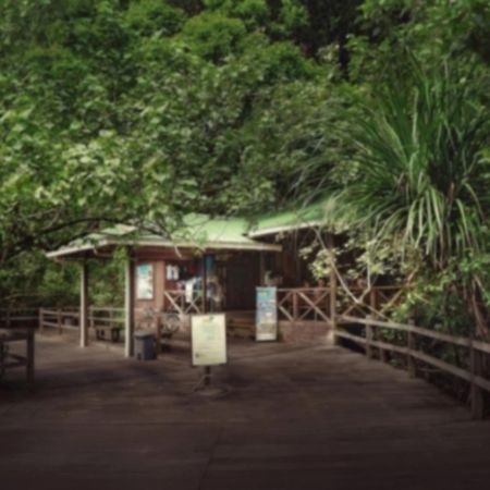 סנטובונג Permai Rainforest Resort מראה חיצוני תמונה