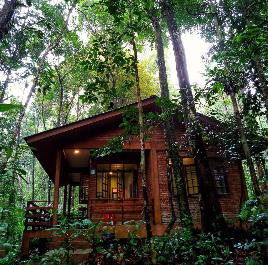 סנטובונג Permai Rainforest Resort מראה חיצוני תמונה