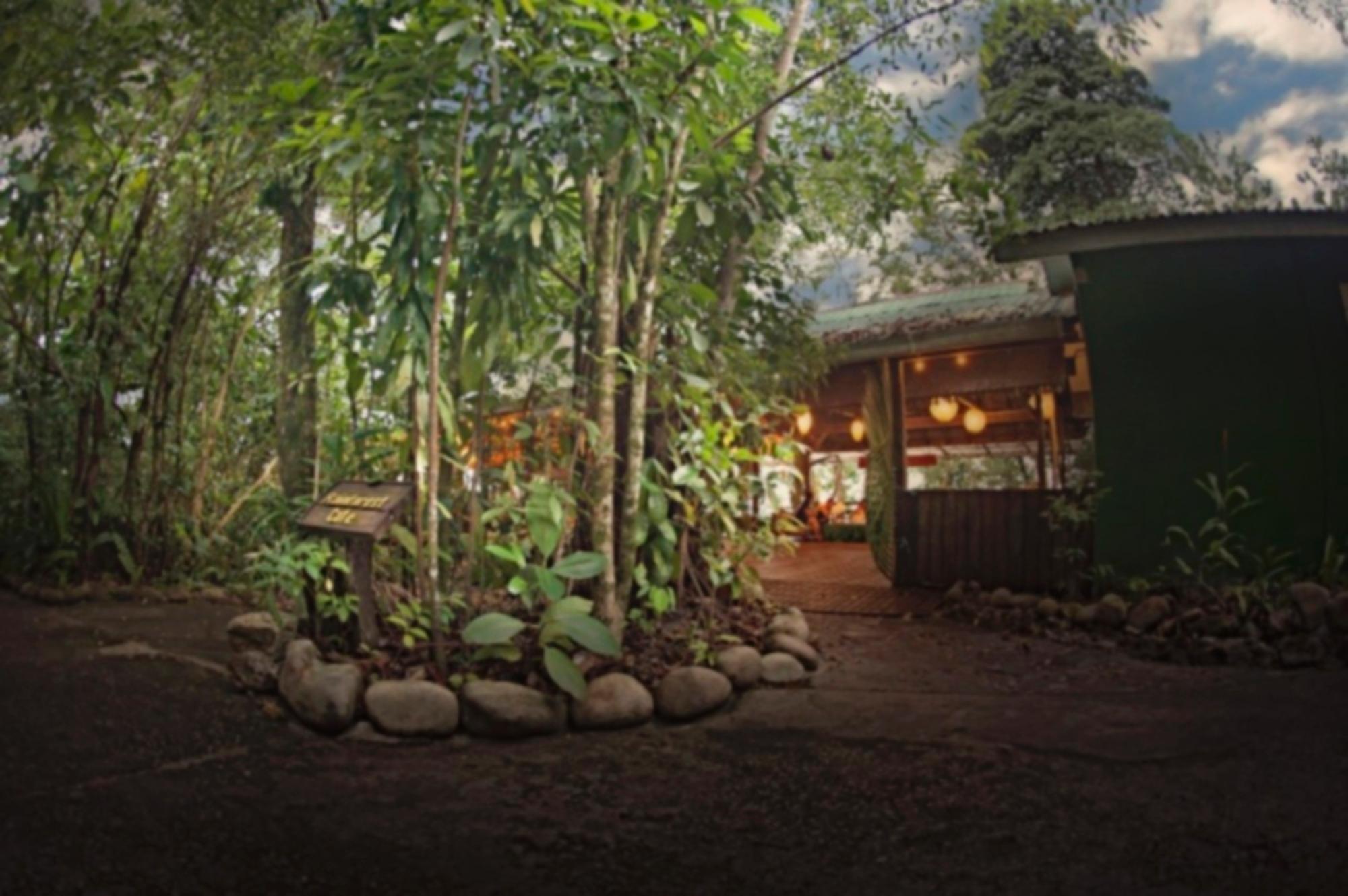 סנטובונג Permai Rainforest Resort מראה חיצוני תמונה
