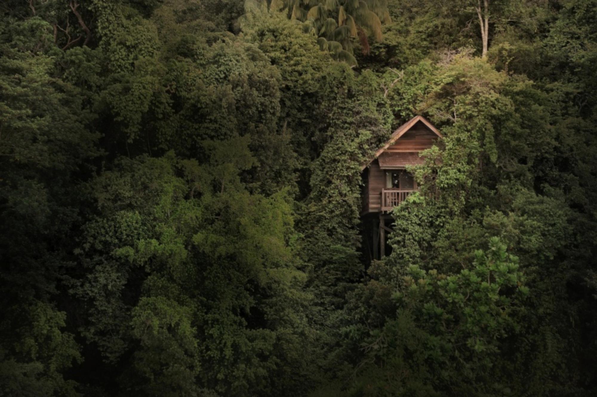 סנטובונג Permai Rainforest Resort מראה חיצוני תמונה