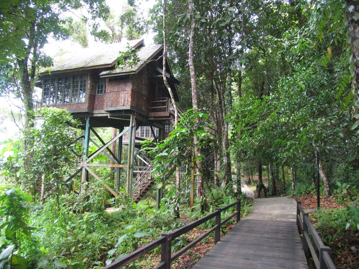 סנטובונג Permai Rainforest Resort מראה חיצוני תמונה