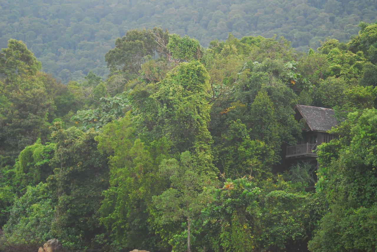 סנטובונג Permai Rainforest Resort מראה חיצוני תמונה